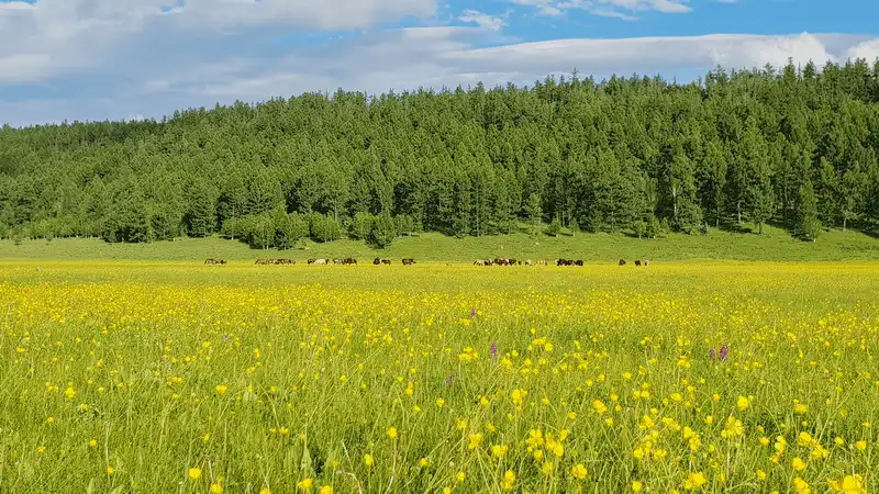 Những lưu ý cần biết khi du lịch Mông Cổ từ travel blogger Thiện Nguyễn 10 Tạp chí Du lịch Wanderlust Tips Những lưu ý cần biết khi du lịch Mông Cổ từ travel blogger Thiện Nguyễn