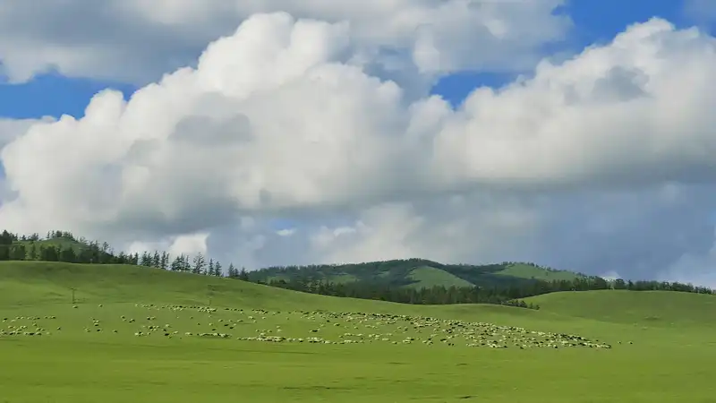 Những lưu ý cần biết khi du lịch Mông Cổ từ travel blogger Thiện Nguyễn 13 Tạp chí Du lịch Wanderlust Tips Những lưu ý cần biết khi du lịch Mông Cổ từ travel blogger Thiện Nguyễn