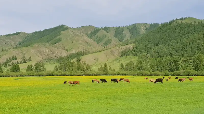 Những lưu ý cần biết khi du lịch Mông Cổ từ travel blogger Thiện Nguyễn 9 Tạp chí Du lịch Wanderlust Tips Những lưu ý cần biết khi du lịch Mông Cổ từ travel blogger Thiện Nguyễn