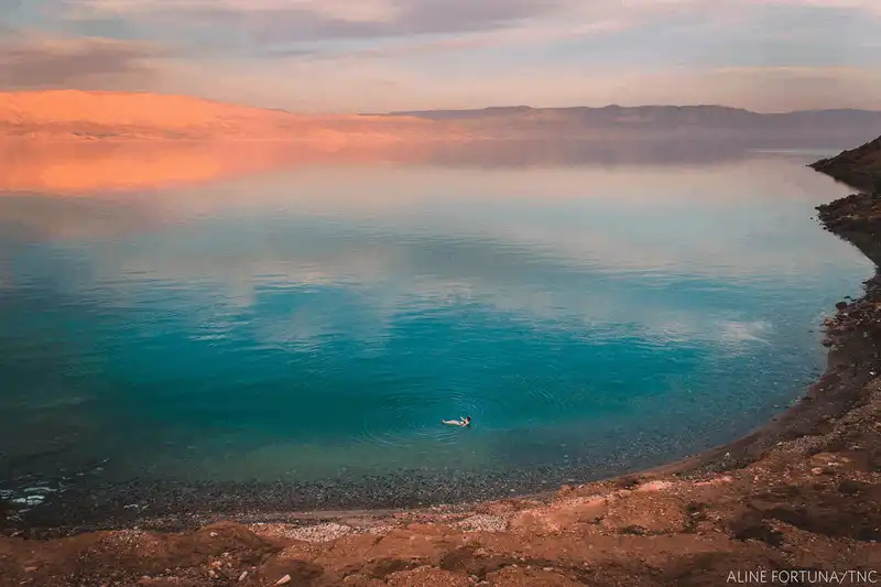 Tạp chí du lịch Wanderlust Tips Cuộc thi ảnh thiên nhiên của The Nature Conservancy