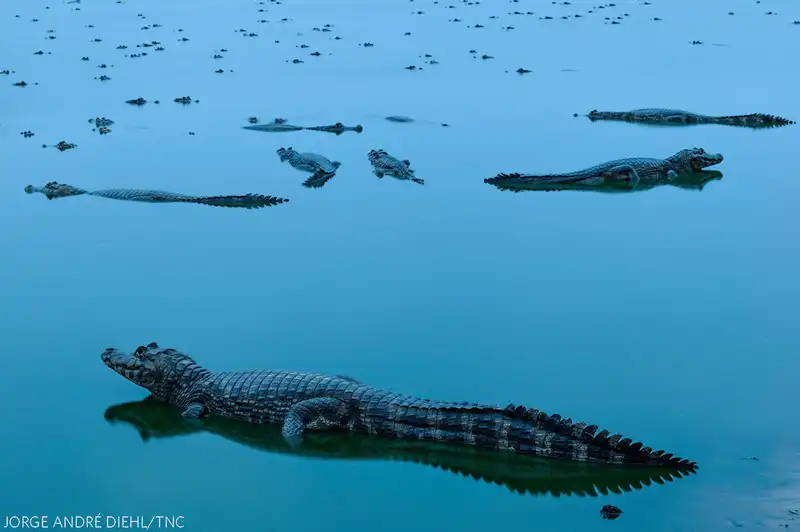 Tạp chí du lịch Wanderlust Tips Cuộc thi ảnh thiên nhiên của The Nature Conservancy