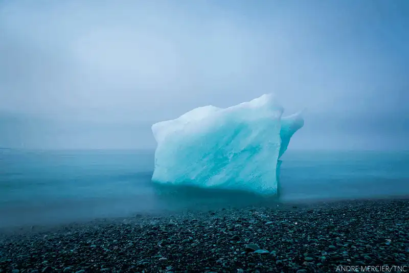 Tạp chí du lịch Wanderlust Tips Cuộc thi ảnh thiên nhiên của The Nature Conservancy