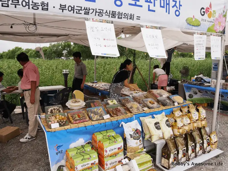 Tạp chí du lịch Wanderlust Tips Tới Hàn Quốc tháng 7 tham dự Lễ hội Hoa Sen Buyeo Seodong