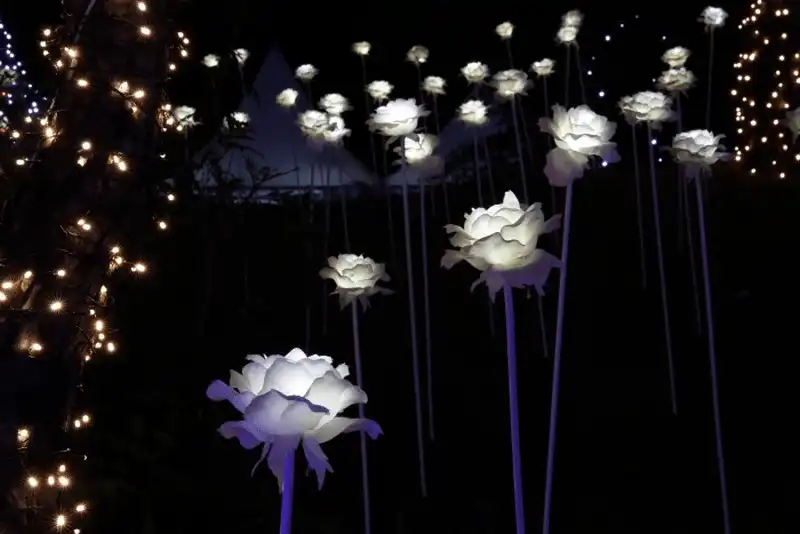 Tạp chí du lịch Wanderlust Tips Tới Hàn Quốc tháng 7 tham dự Lễ hội Hoa Sen Buyeo Seodong