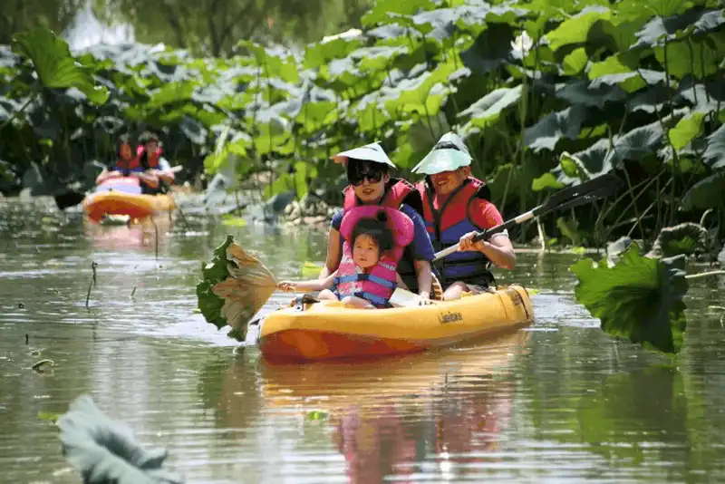 Tạp chí du lịch Wanderlust Tips Tới Hàn Quốc tháng 7 tham dự Lễ hội Hoa Sen Buyeo Seodong