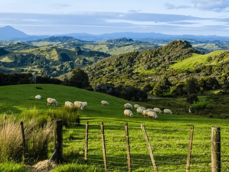 Tạp chí Du lịch Wanderlust Tips Văn hóa tiền tip tại một số quốc gia trên thế giới