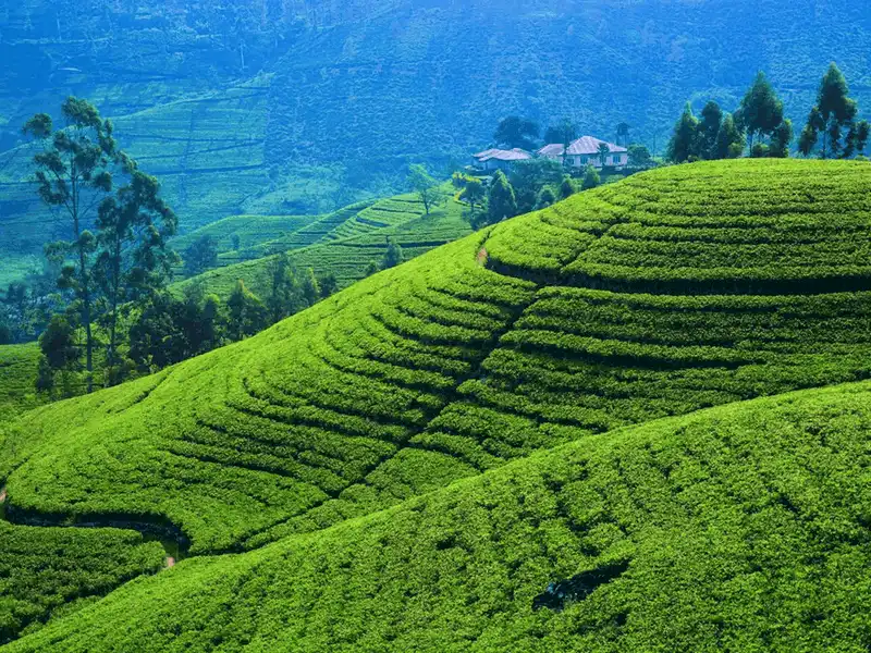 Tạp chí Du lịch Wanderlust Tips Văn hóa tiền tip tại một số quốc gia trên thế giới