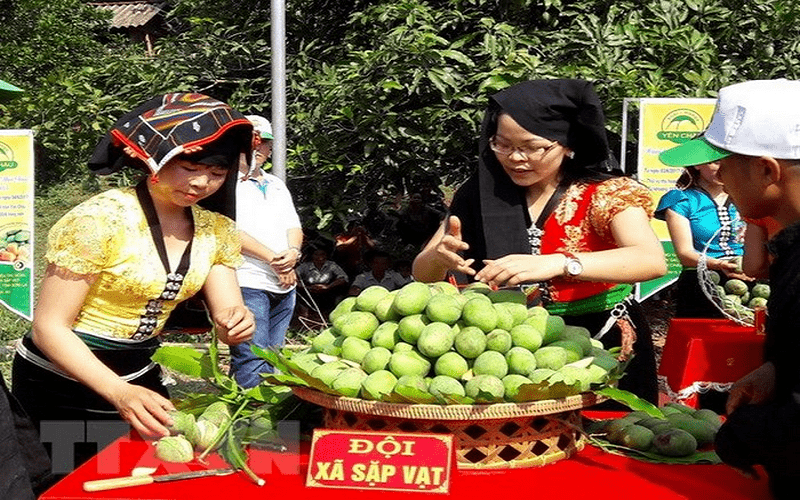 Sơn La tổ chức Ngày hội xoài Yên Châu năm 2018 5 Wanderlust tips Son La tiep tuc to chuc ngay hoi xoai yen chau 2018 1 1