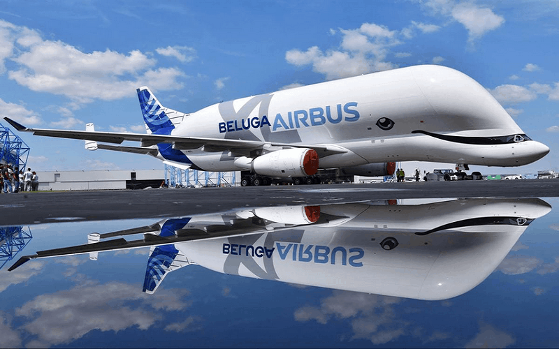 Wanderlust tips doc dao truoc chiec may bay hinh ca voi trang cua airbus 1