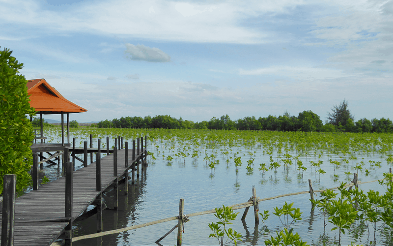 Prasae - Thị trấn nhỏ xinh ở Rayong, Thái Lan 5 wanderlust tips Prasae Thi tran nho xinh o Rayong Thai Lan2
