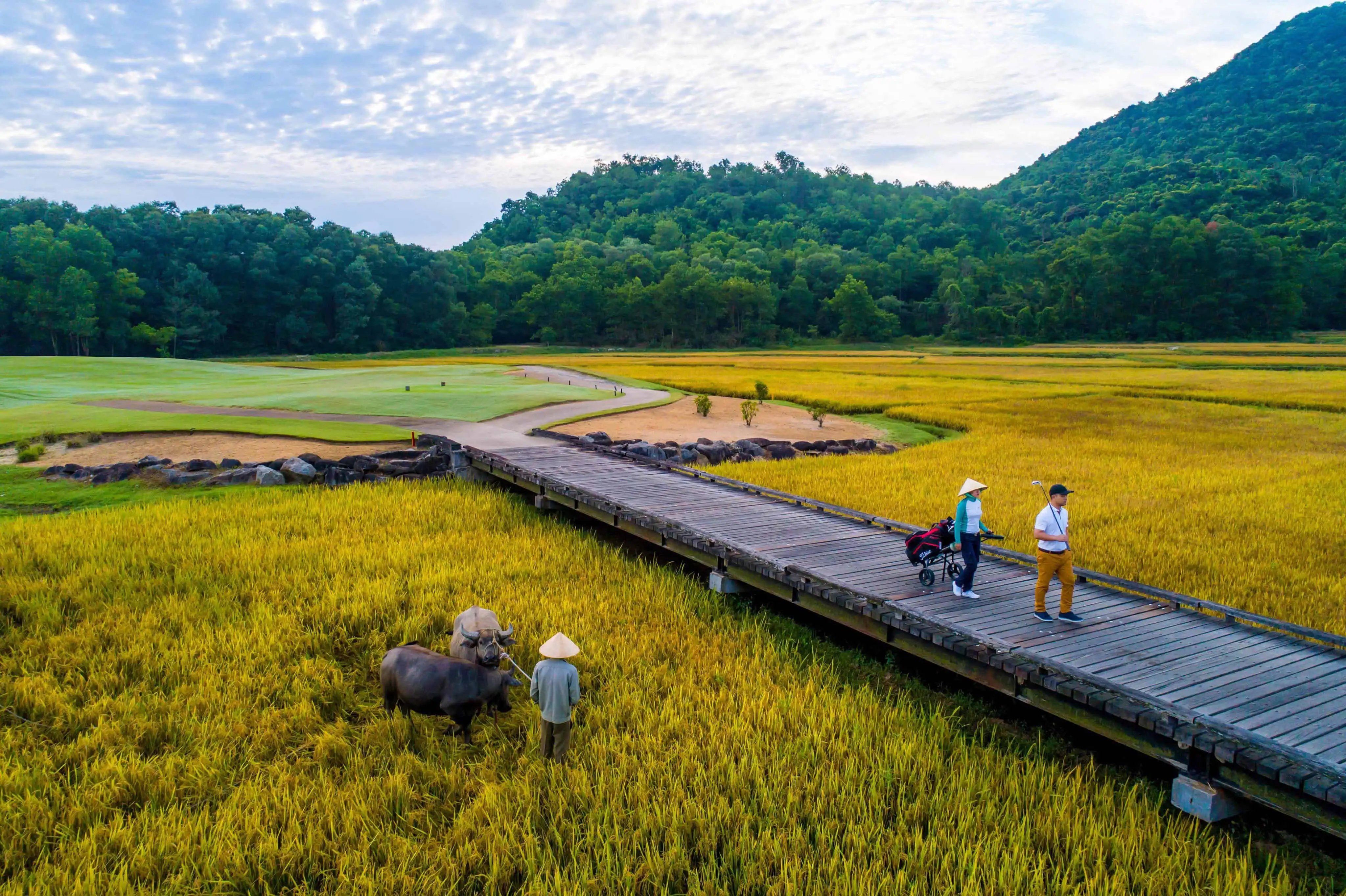 Laguna Golf Lăng Cô lọt top 10 sân golf tốt nhất Việt Nam 2018 7 37632218 1866475196744350 4043700550858964992 n