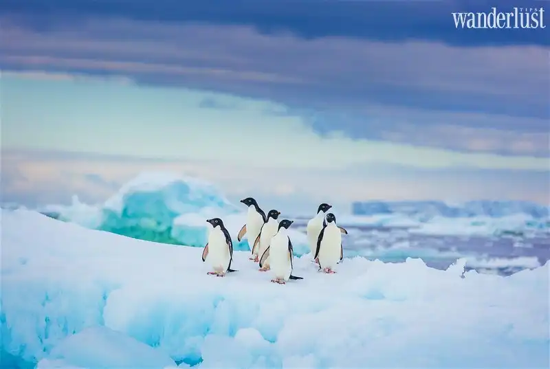 Tạp chí Du lịch Wanderlust Tips 11 địa danh diệu kì của thế giới trẻ thơ qua các bộ phim hoạt hình