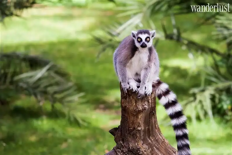 Tạp chí Du lịch Wanderlust Tips 11 địa danh diệu kì của thế giới trẻ thơ qua các bộ phim hoạt hình