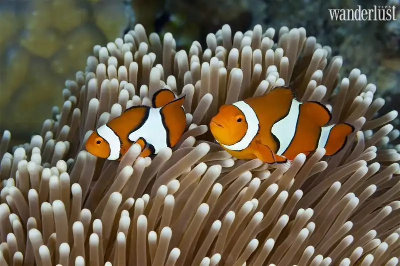 Tạp chí Du lịch Wanderlust Tips 11 địa danh diệu kì của thế giới trẻ thơ qua các bộ phim hoạt hình