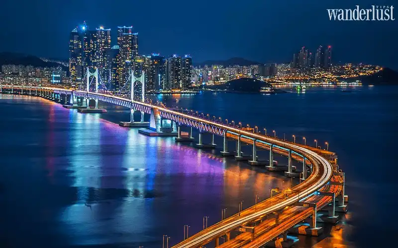 Busan: Thành phố cảng sầm uất bậc nhất Hàn Quốc 16 Wanderlust Tips busan thanh pho cang sam uat bac nhat han quoc 12