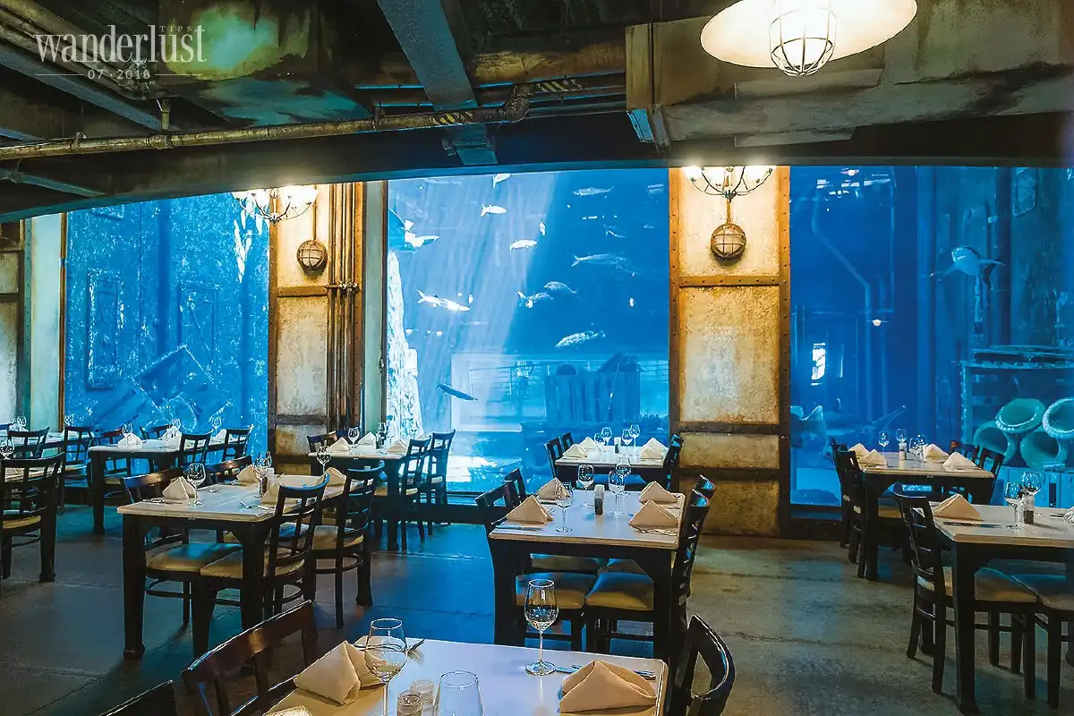 Wanderlust Tips durban thanh pho bien hap dan cua nam phi 04