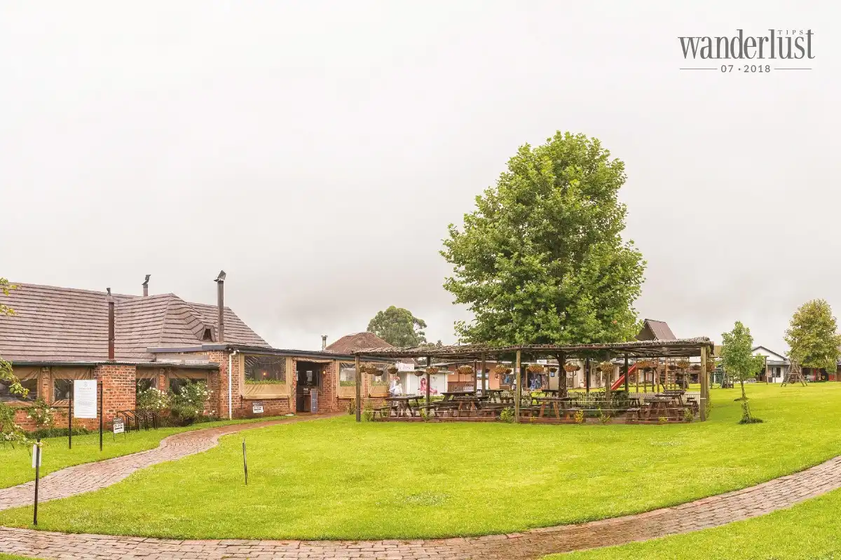 Wanderlust Tips durban thanh pho bien hap dan cua nam phi 05