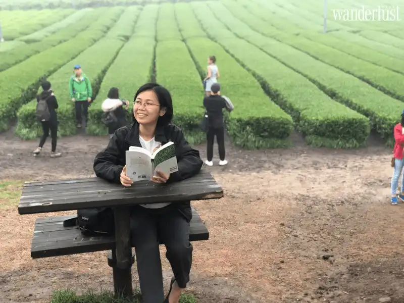 Wanderlust Tips jeju thien duong nghi duong ly tuong cho du khach 04