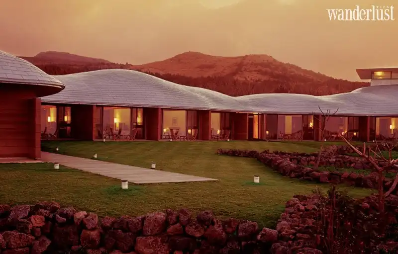 Wanderlust Tips jeju thien duong nghi duong ly tuong cho du khach 05