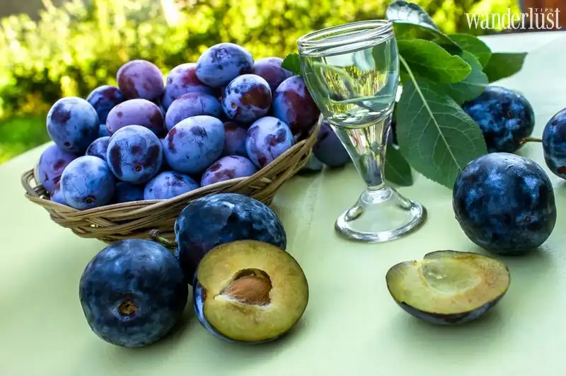 Tạp chí Du lịch Wanderlust Tips Mận, thứ quả thiêng liêng trong nền văn hóa của Serbia