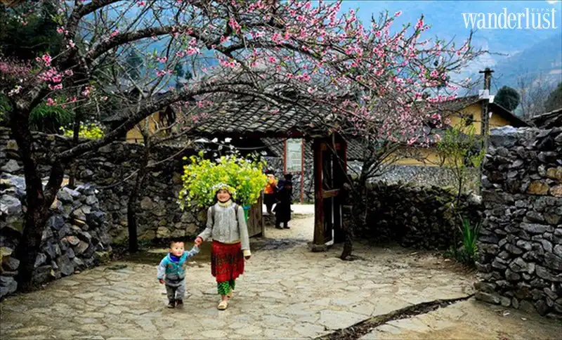 Ngỡ ngàng thiên nhiên Việt Nam qua những thước phim 6 Tạp chí Du lịch Wanderlust Tips Ngỡ ngàng thiên nhiên Việt Nam qua những thước phim