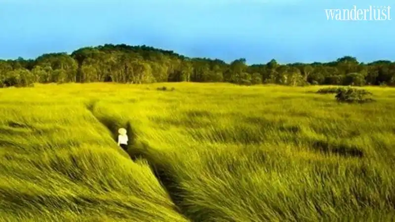 Ngỡ ngàng thiên nhiên Việt Nam qua những thước phim 12 Wanderlust Tips ngo ngang thien nhien viet nam qua nhung thuoc phim 08