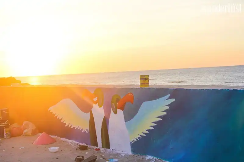 Wanderlust Tips phat sot voi con duong bich hoa tran ngap sac mau o ly son 05