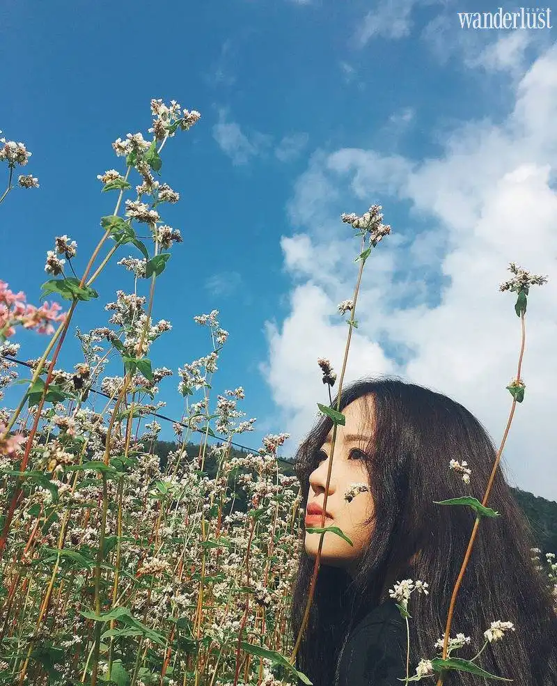 Sa Pa thật lạ qua góc chụp của giới trẻ 15 Tạp chí Du lịch Wanderlust Tips Sa Pa thật lạ qua góc chụp của giới trẻ