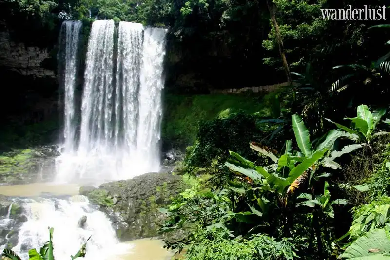 Tạp chí Du lịch Wanderlust Tips Thác Damb'ri và câu chuyện tình buồn giữa xứ B’Lao mù sương
