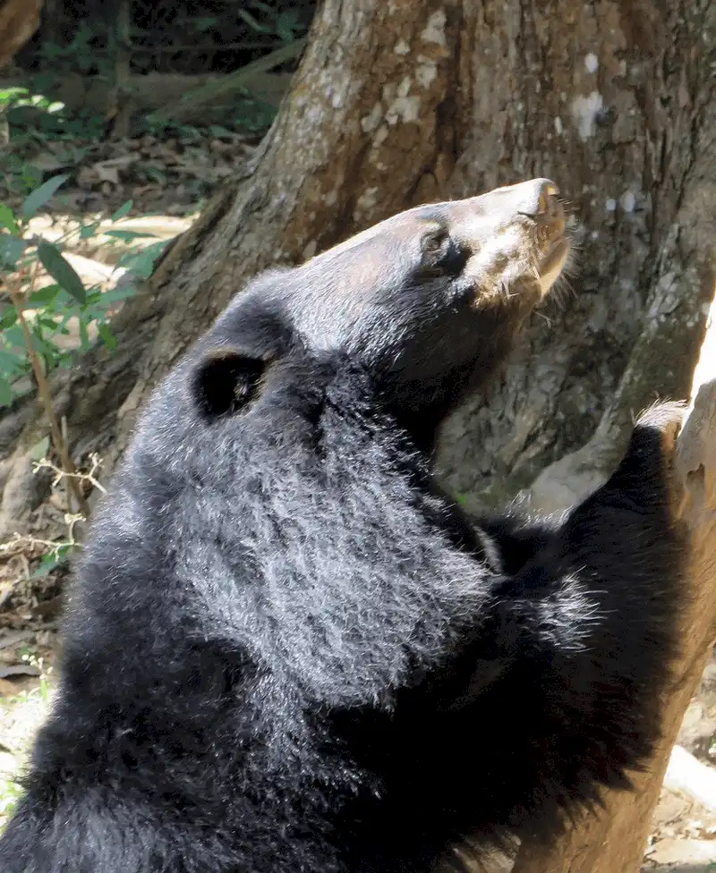 Tạp chí du lịch Wanderlust Tips Những điều bạn nhất định không nên làm ở Lào