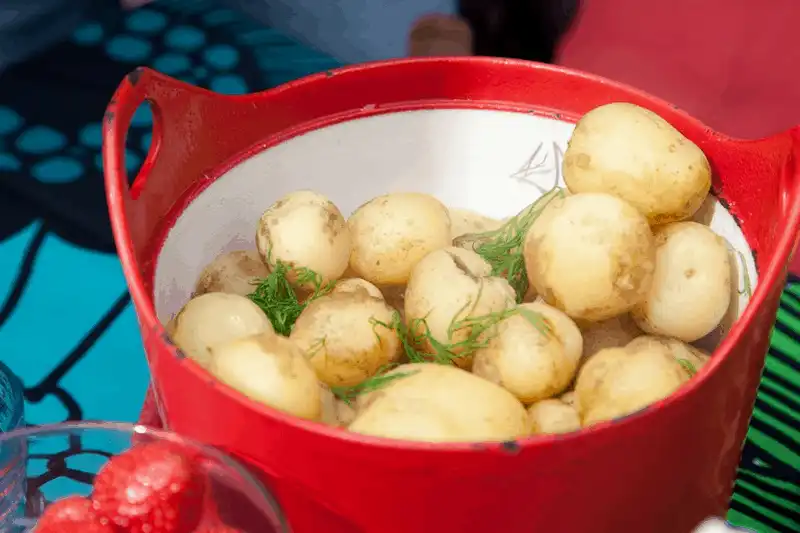 Tạp chí du lịch Wanderlust Tips 4 loại thực phẩm mùa hè đặc trưng ở Phần Lan