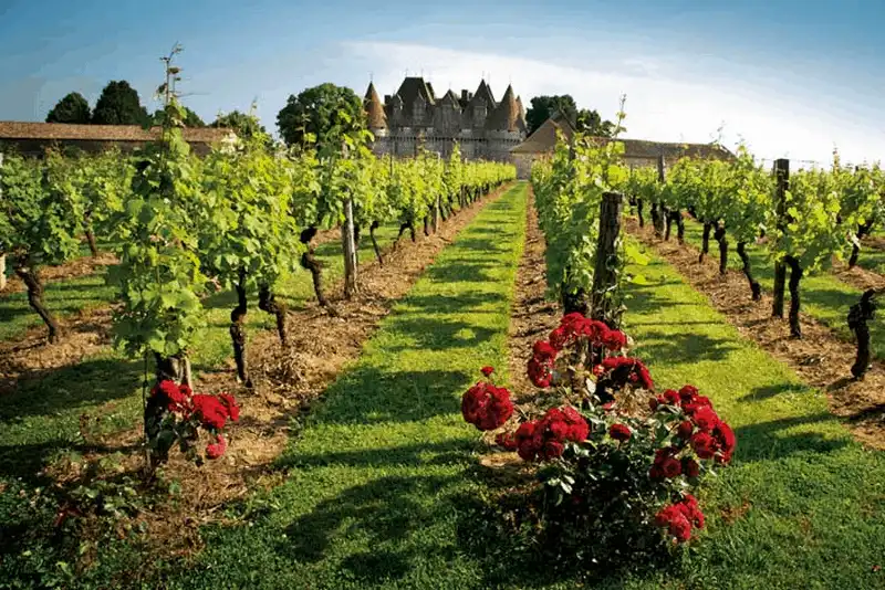 10 địa điểm bạn nhất định phải ghé thăm khi đến Pháp 15 Tạp chí du lịch Wanderlust Tips - 10 địa điểm du khách nhất định phải ghé thăm khi đến Pháp