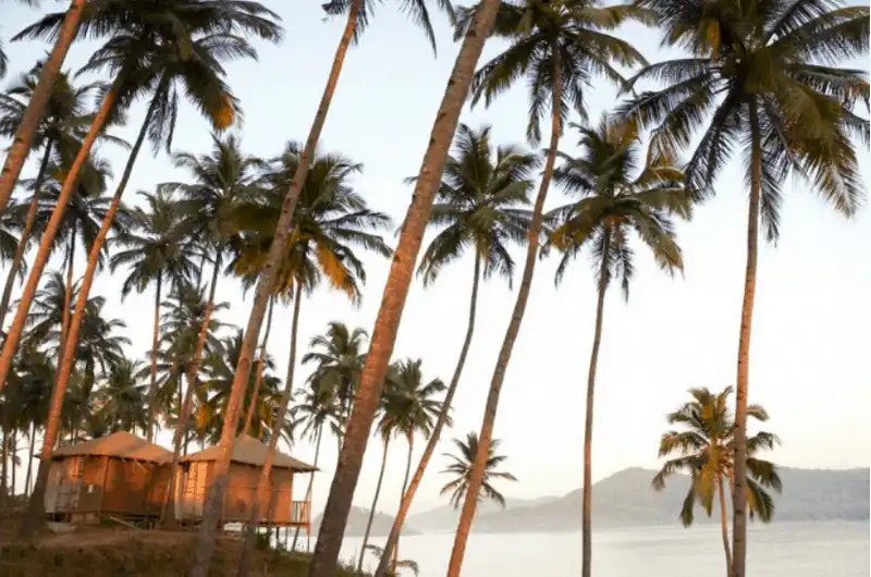 10 điều bạn sẽ hối tiếc nếu không làm trong chuyến đi tiếp theo 9 Tạp chí Du lịch Wanderlust Tips 10 điều bạn sẽ hối tiếc nếu không làm trong chuyến đi tiếp theo