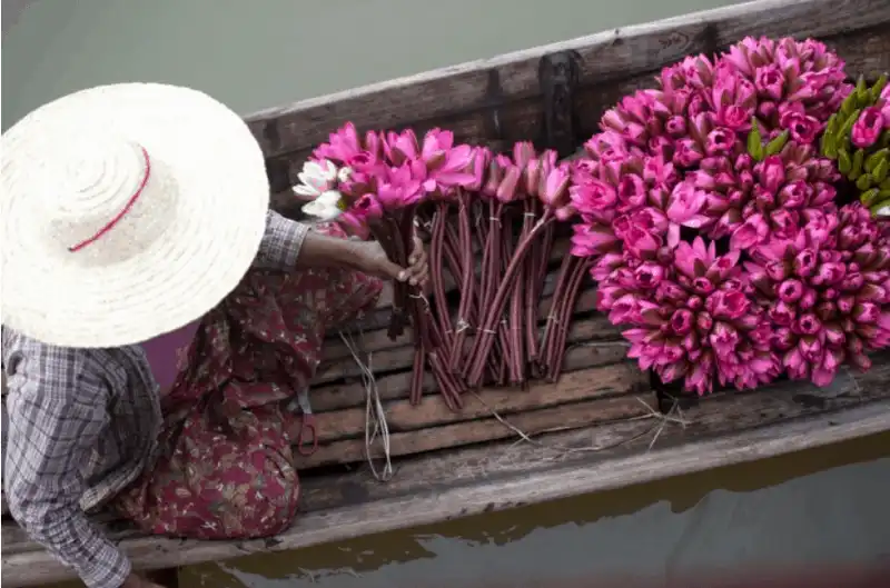 10 điều bạn sẽ hối tiếc nếu không làm trong chuyến đi tiếp theo 13 Tạp chí Du lịch Wanderlust Tips 10 điều bạn sẽ hối tiếc nếu không làm trong chuyến đi tiếp theo