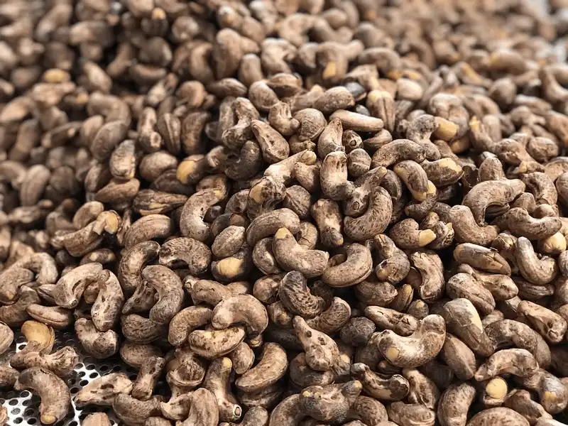 10 món ngon nhất định phải thử khi đến Bình Phước 5 Tạp chí du lịch Wanderlust Tips - 10 món ngon Bình Phước nhất định phải thử