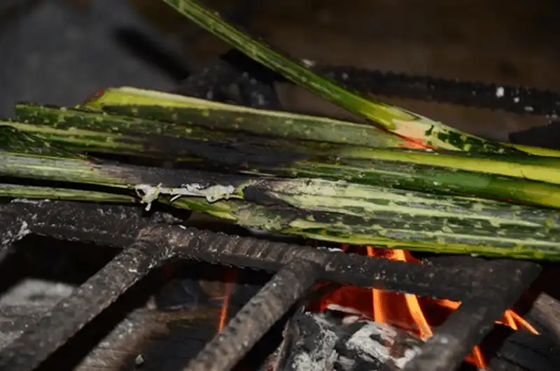 10 món ngon nhất định phải thử khi đến Bình Phước 13 Tạp chí du lịch Wanderlust Tips - 10 món ngon nhất định phải thử khi đến Bình Phước