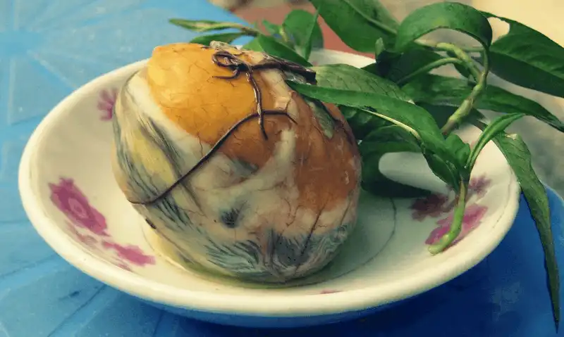 5 món ăn Việt Nam làm thế giới sợ hãi 6 Tạp chí du lịch Wanderlust Tips – 5 món ăn Việt Nam làm thế giới sợ hãi