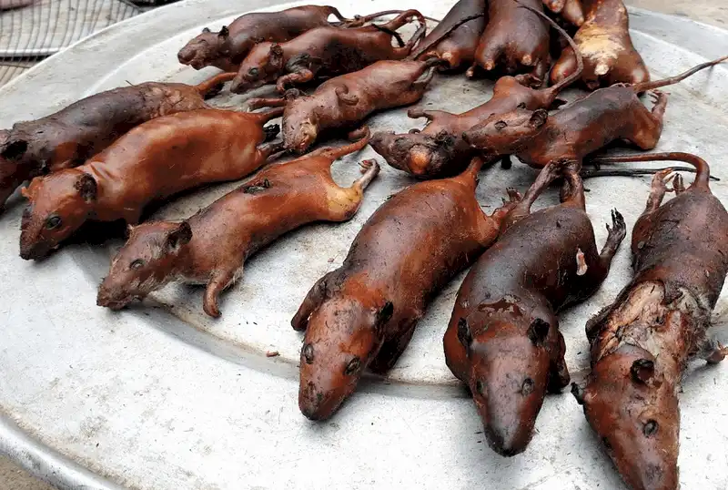 5 món ăn Việt Nam làm thế giới sợ hãi 9 Tạp chí du lịch Wanderlust Tips – 5 món ăn Việt Nam làm thế giới sợ hãi