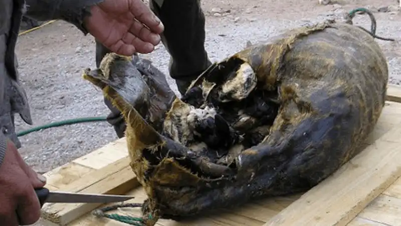 Tạp chí Du lịch Wanderlust Tips 6 món ăn khó nuốt nhất thế giới