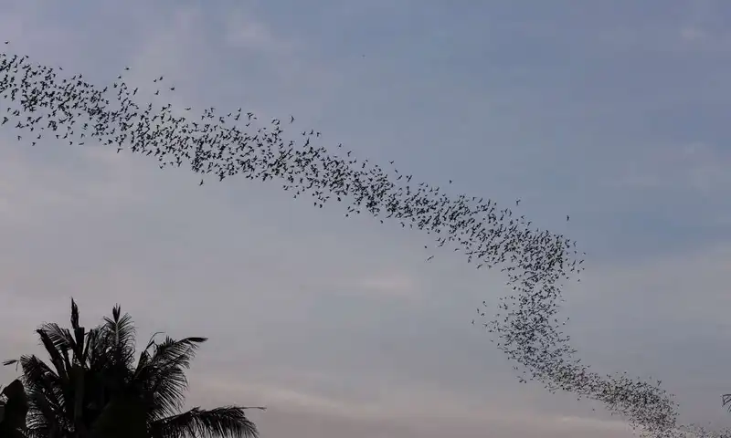 Tạp chí Du lịch Wanderlust Tips 7 trải nghiệm du lịch Campuchia nhất định không được bỏ qua