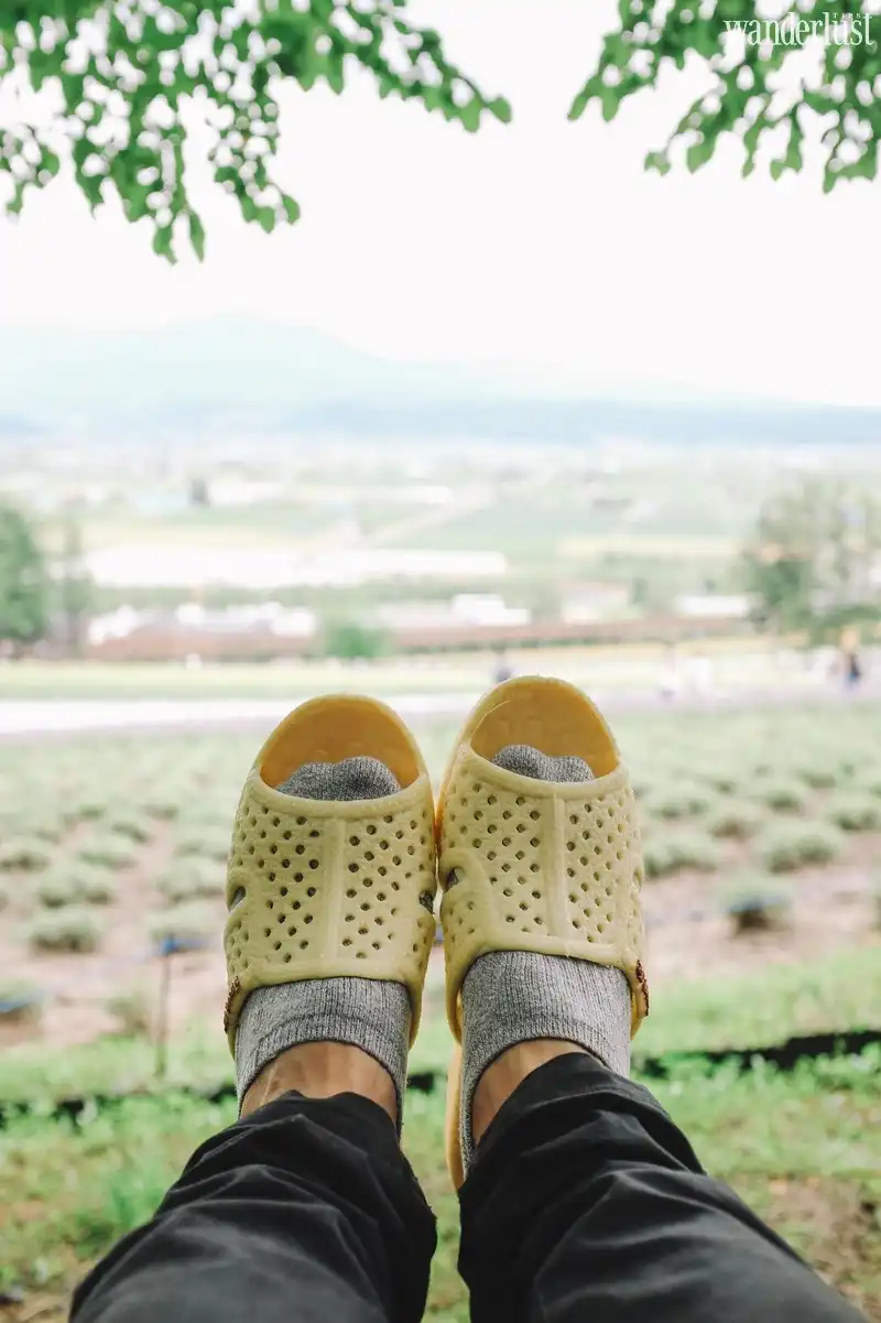 Bộ ảnh "Dép tổ ong đi khắp thế gian" đã đến Nhật Bản 9 wanderlust tips bo anh dep to ong di khap the gian da den Nhat Ban 06