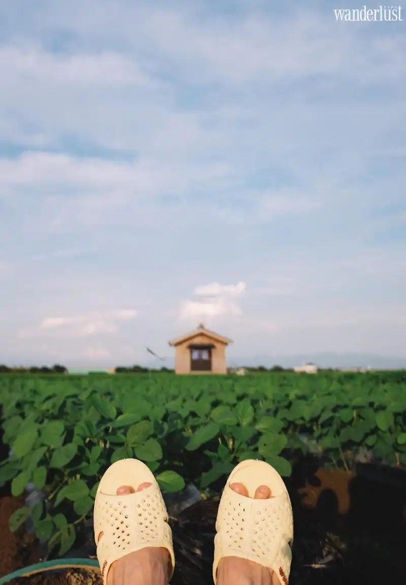 Bộ ảnh "Dép tổ ong đi khắp thế gian" đã đến Nhật Bản 7 wanderlust tips bo anh dep to ong di khap the gian da den Nhat Ban 08