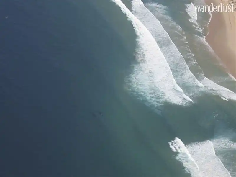 Tạp chí Du lịch Wanderlust Tips Đề phòng dòng chảy xa bờ - tử thần thầm lặng