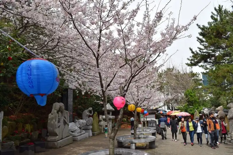 Tạp chí Du lịch Wanderlust Tips | Khám phá ngôi chùa bên bờ biển cổ nhất Hàn Quốc: Haedong Yonggungsa