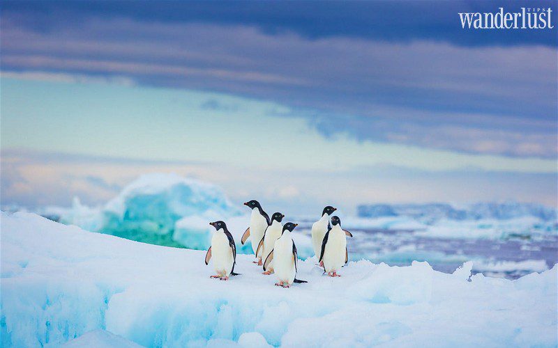 11 địa danh diệu kì của thế giới trẻ thơ qua các bộ phim hoạt hình