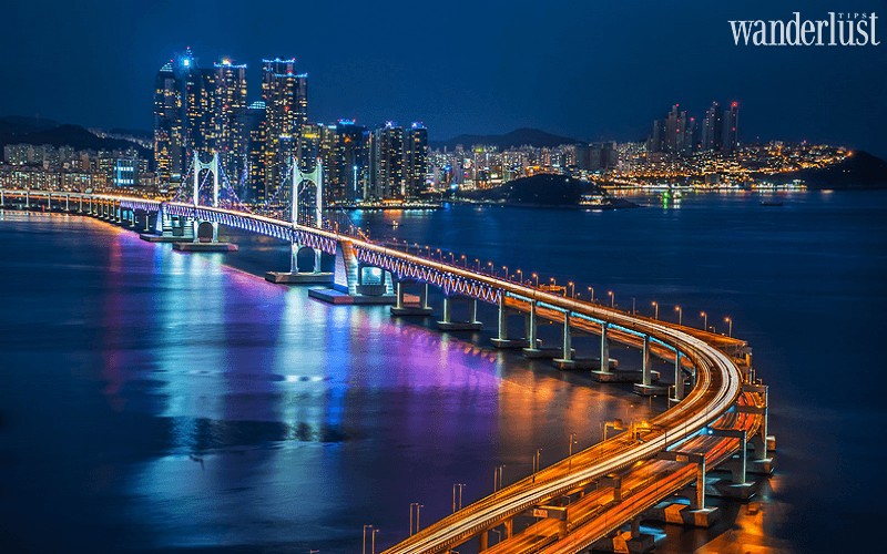 Busan: Thành phố cảng sầm uất bậc nhất Hàn Quốc 5 Wanderlust Tips busan thanh pho cang sam uat bac nhat han quoc 12