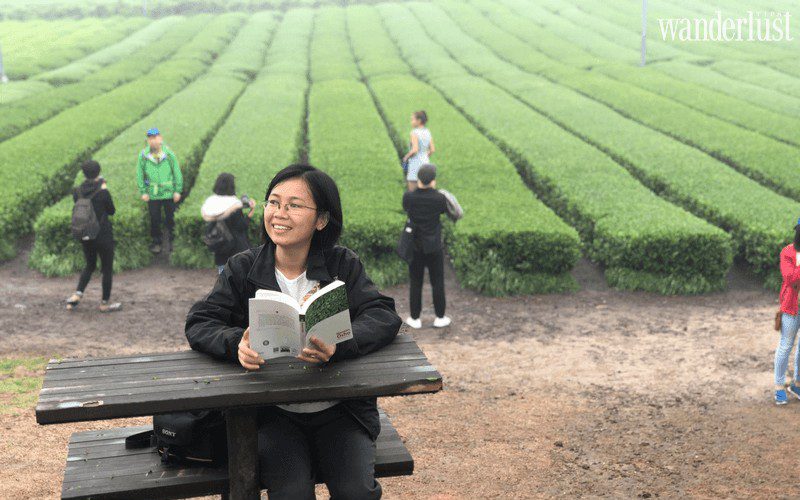 Wanderlust Tips jeju thien duong nghi duong ly tuong cho du khach 04 e1572429408841