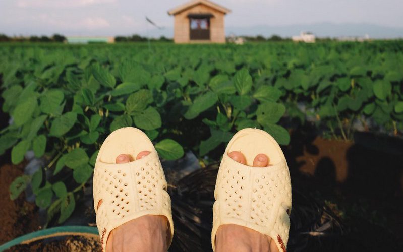 Bộ ảnh "Dép tổ ong đi khắp thế gian" đã đến Nhật Bản 5 wanderlust tips bo anh dep to ong di khap the gian da den Nhat Ban 08 e1571816759131