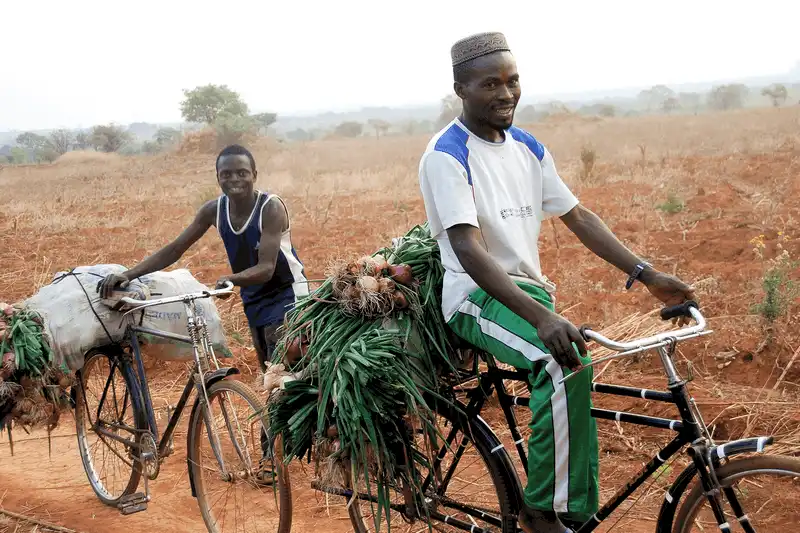 Wanderlust tips 8 dieu ban khong bao gio nen lam o zambia 3