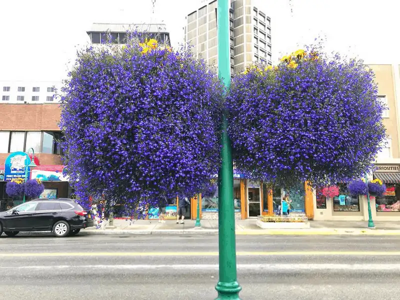 Tạp chí du lịch Wanderlust Tips Anchorage, nơi hoàng hôn buông xuống vào nửa đêm